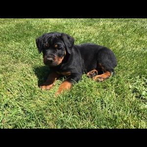 Meet your Posher, Celia